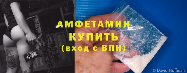 сатива Богданович