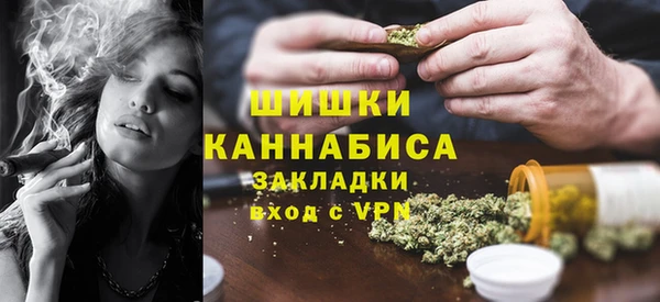 сатива Богданович